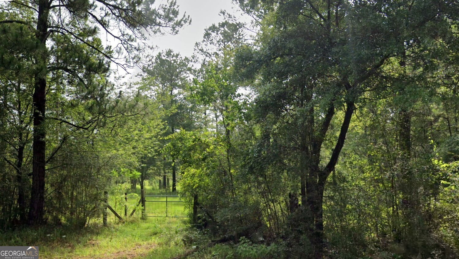 0 Jack Williams Road Lot 35 Property Photo 5