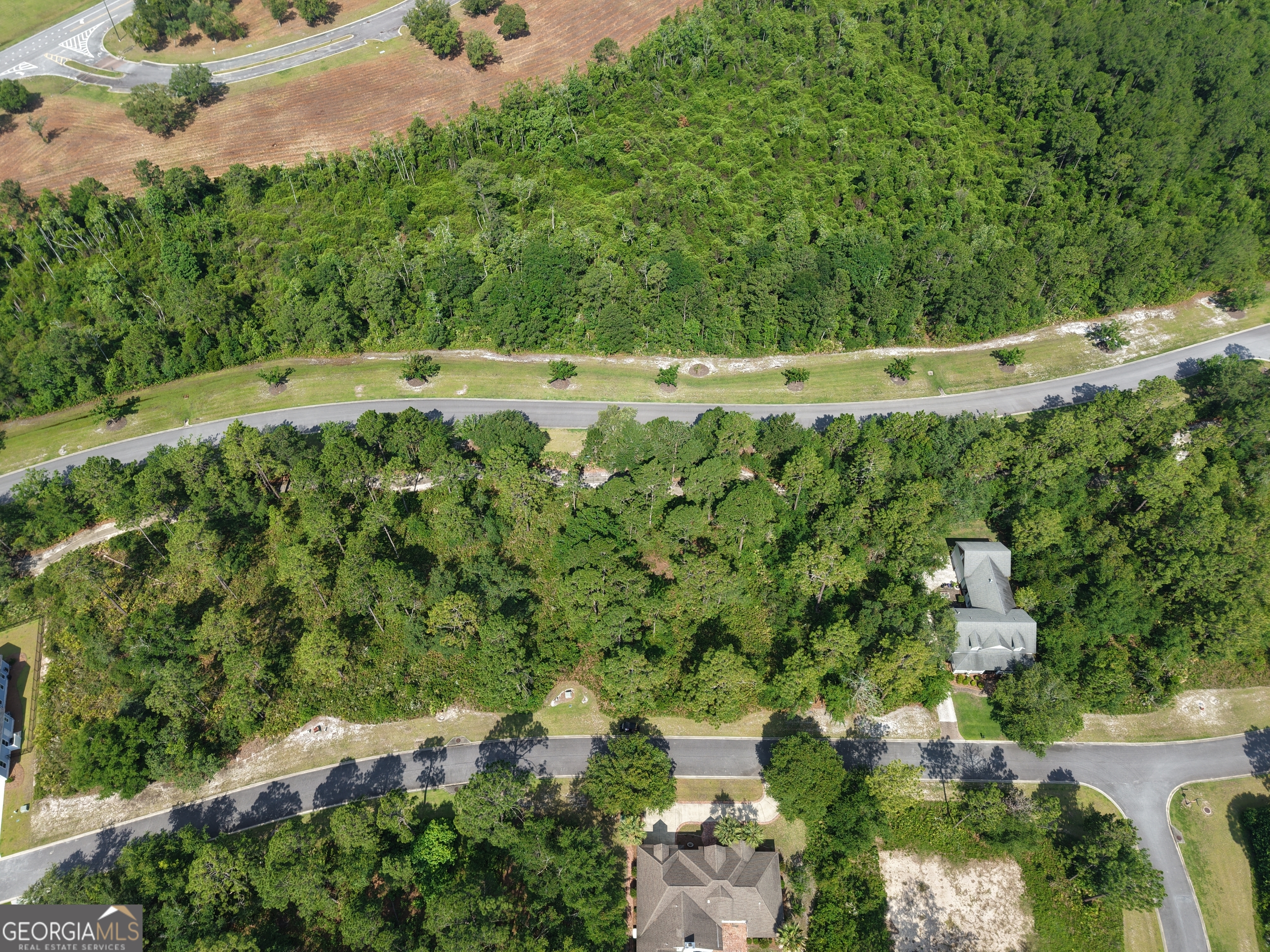 Lot 7 Blue Heron Trail Property Photo 8