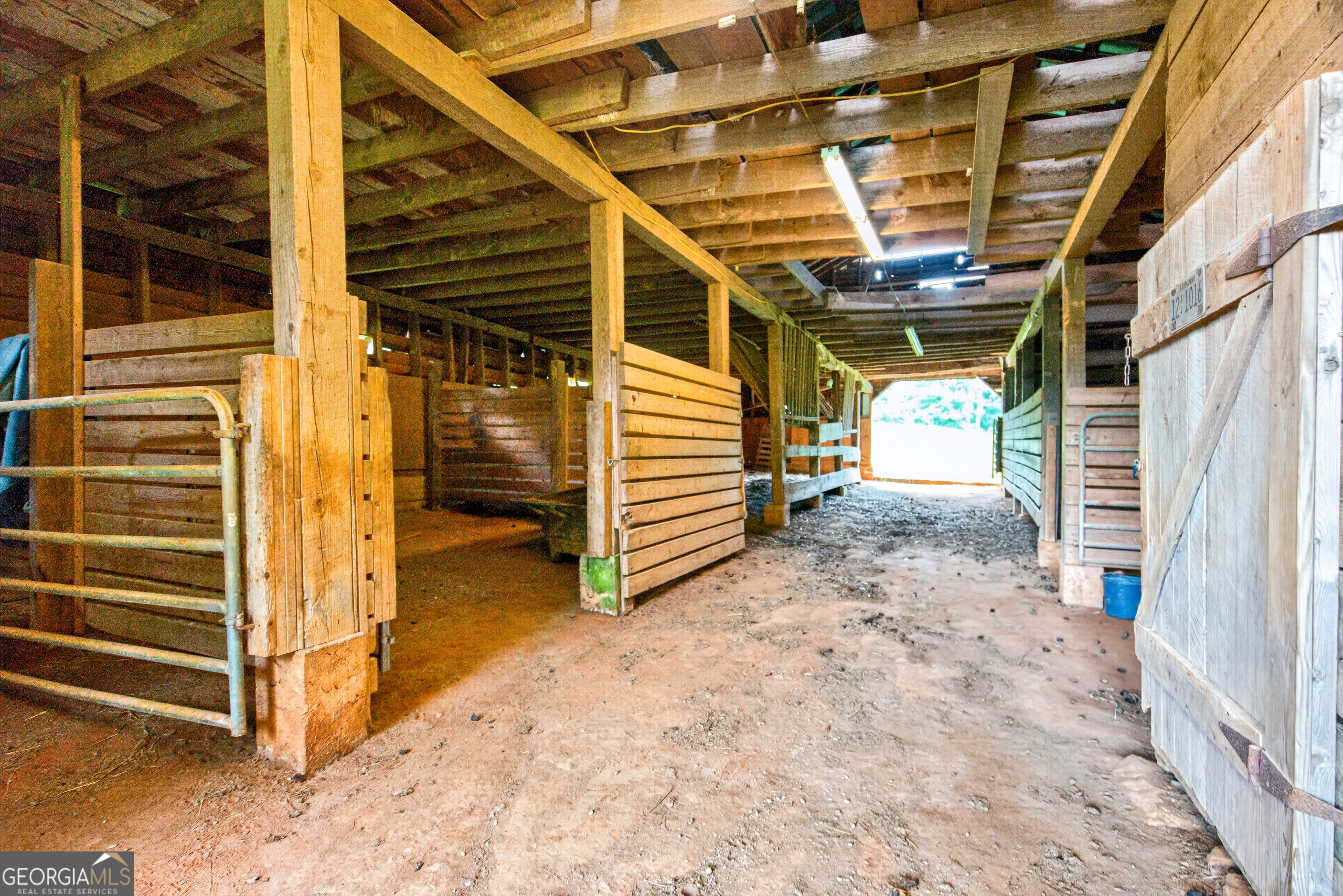 2302 County Road 297 Property Photo 65