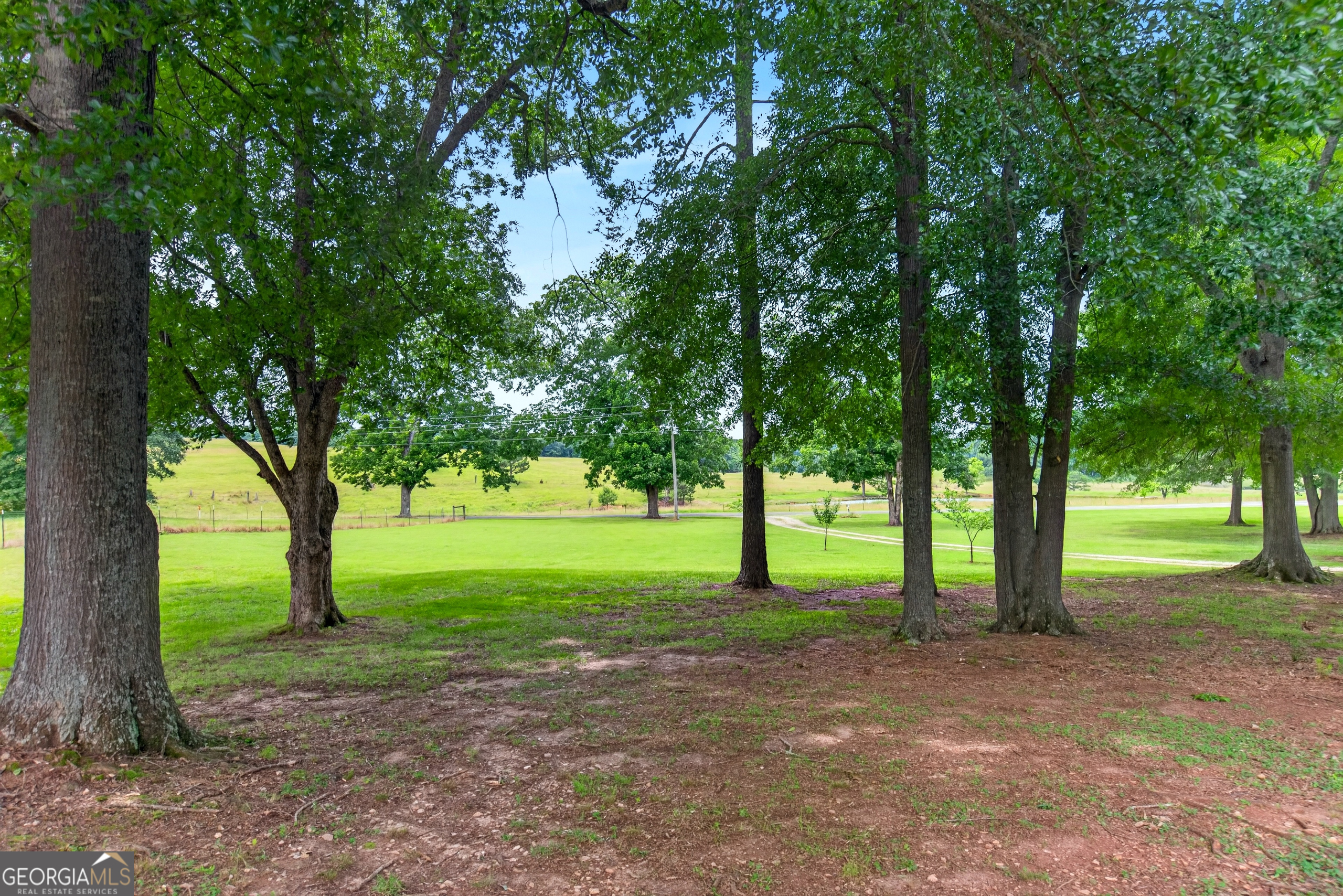 2302 County Road 297 Property Photo 80