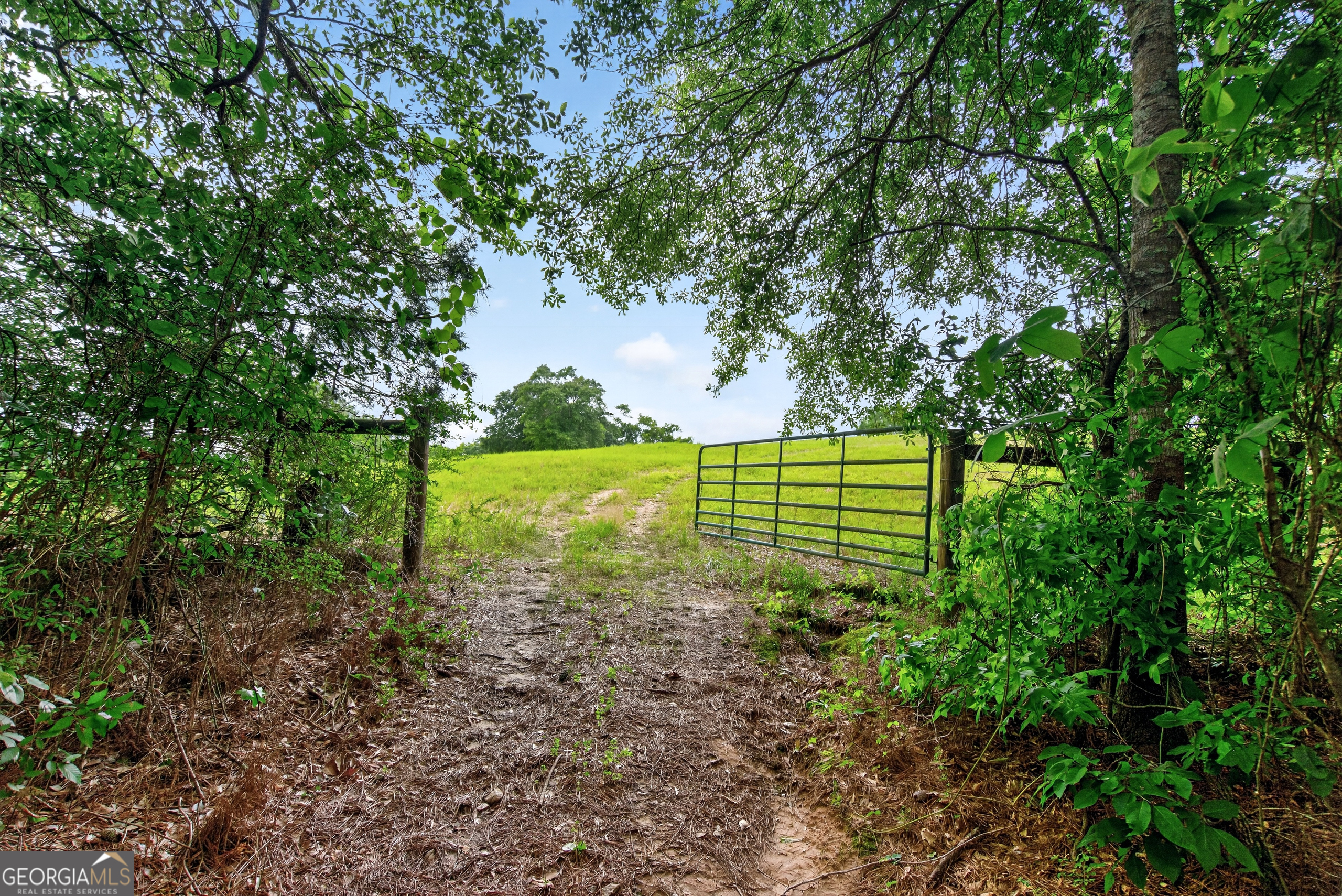 2302 County Road 297 Property Photo 95