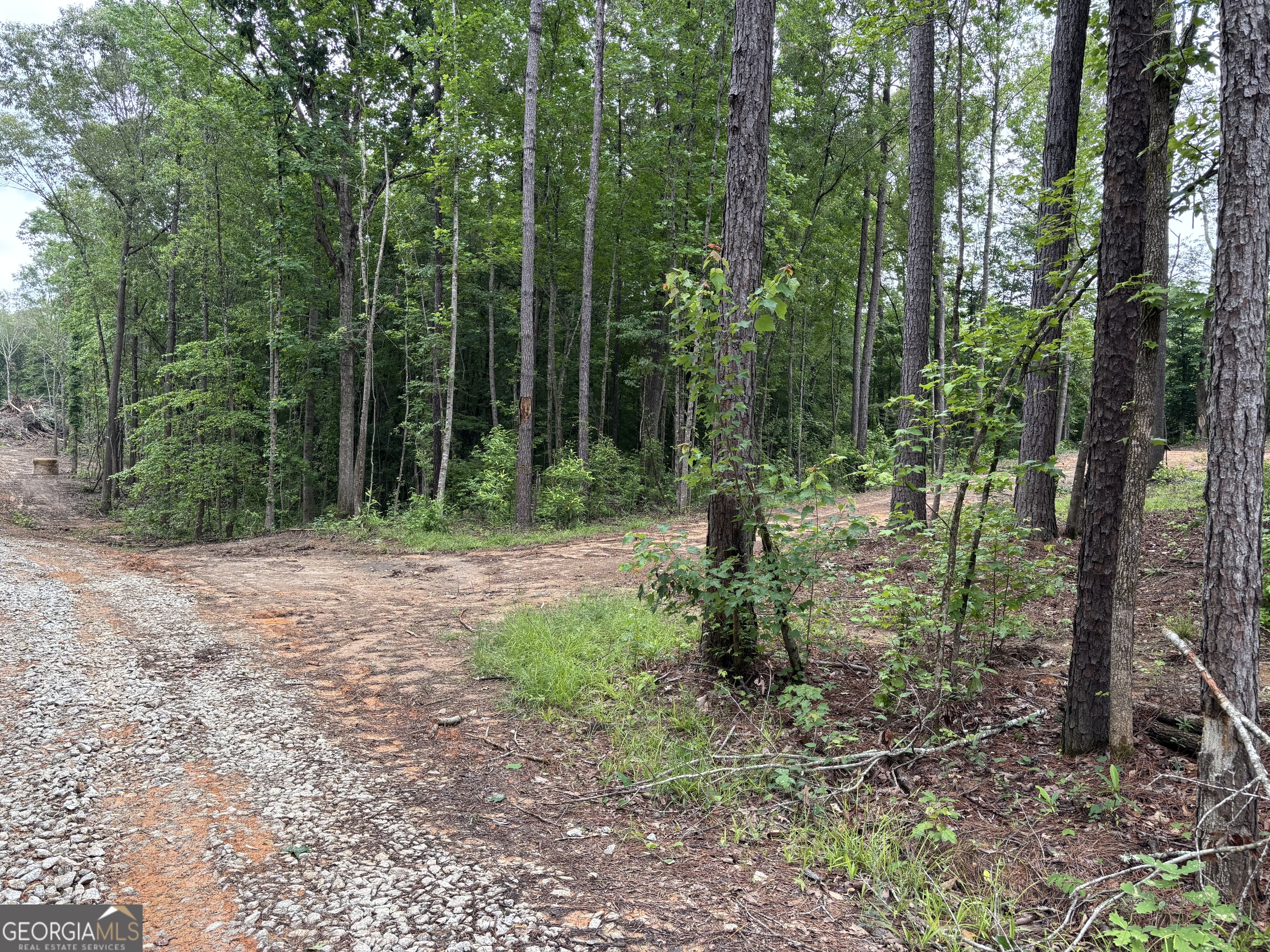 Tract 1 343 County Road 892 Property Photo 1