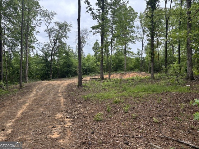 Tract 1 343 County Road 892 Property Photo 2