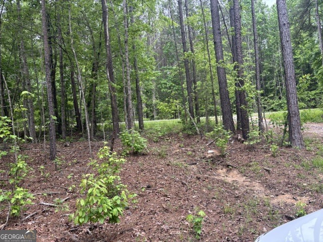 Tract 1 343 County Road 892 Property Photo 3