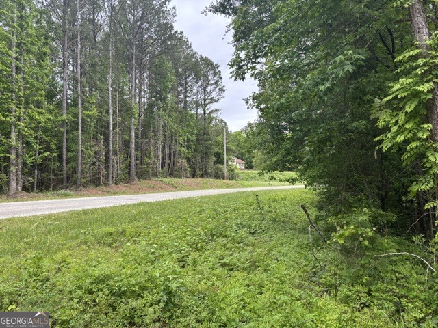 Tract 1 343 County Road 892 Property Photo 4