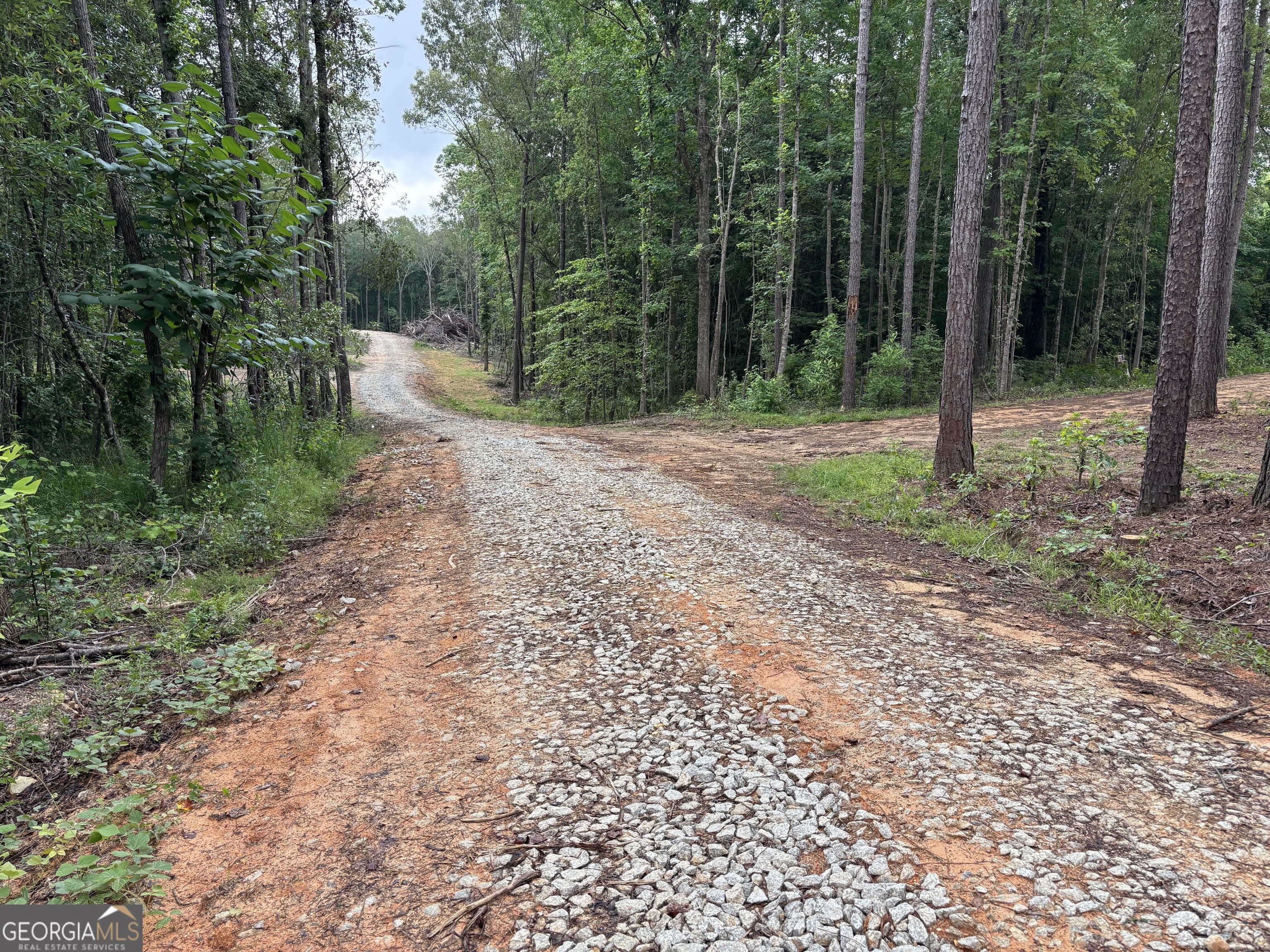 Tract 1 343 County Road 892 Property Photo 6