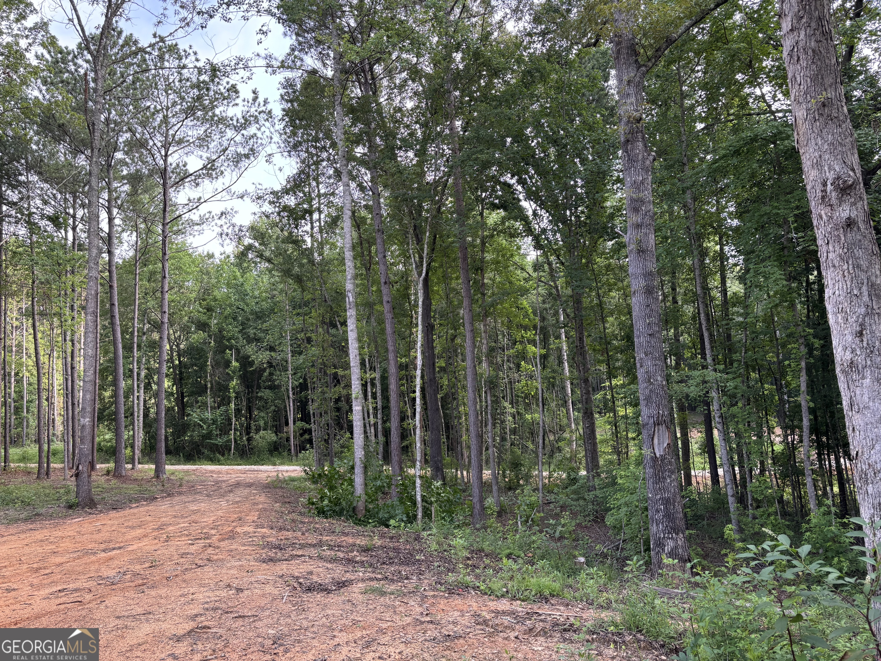 Tract 1 343 County Road 892 Property Photo 7