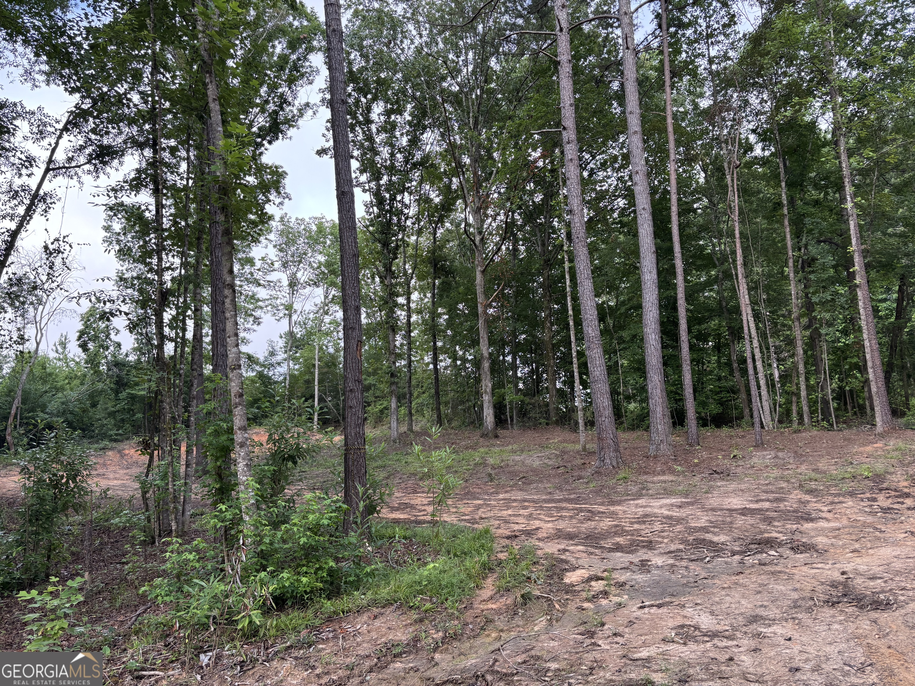 Tract 1 343 County Road 892 Property Photo 8
