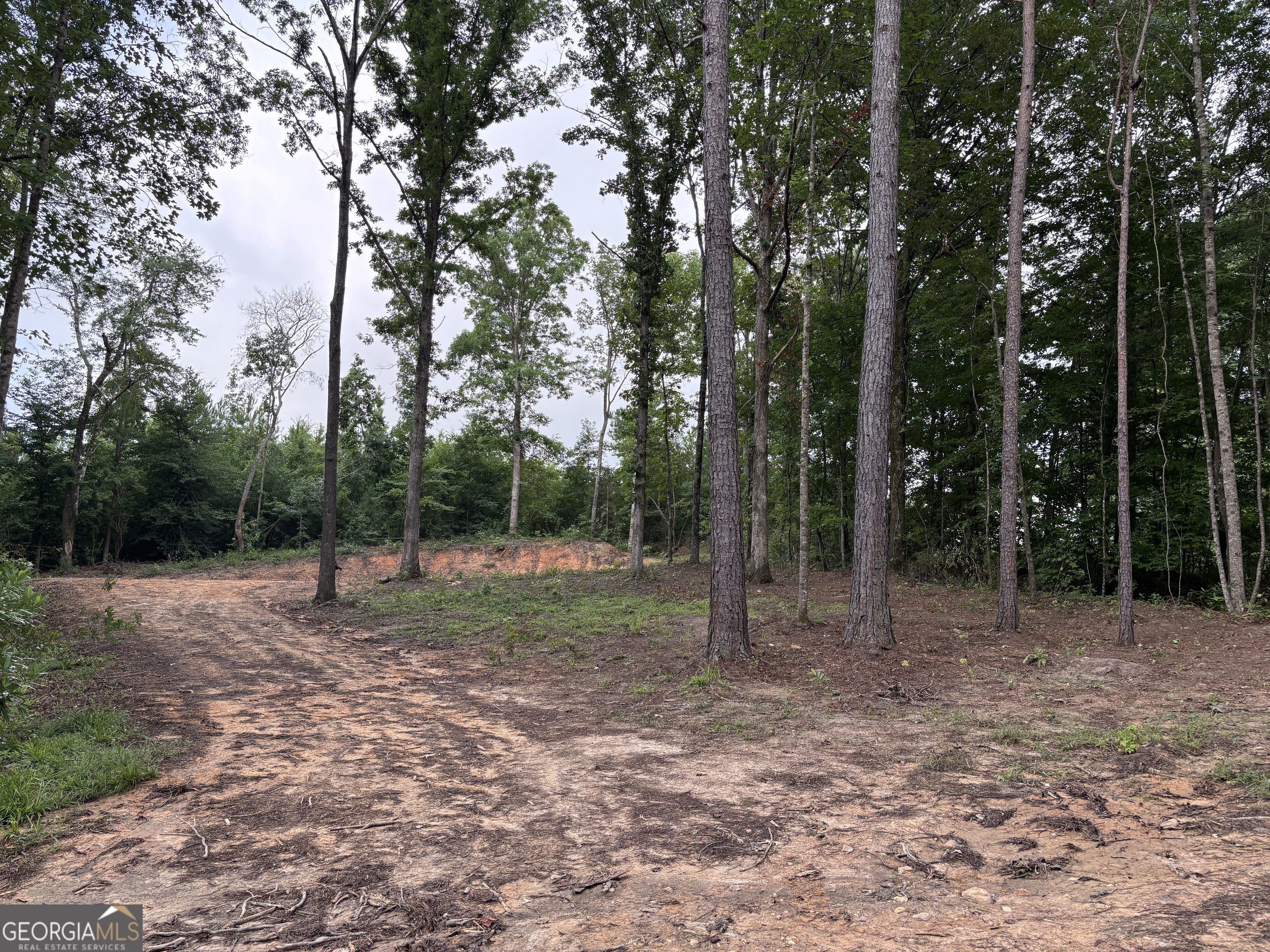 Tract 1 343 County Road 892 Property Photo 9