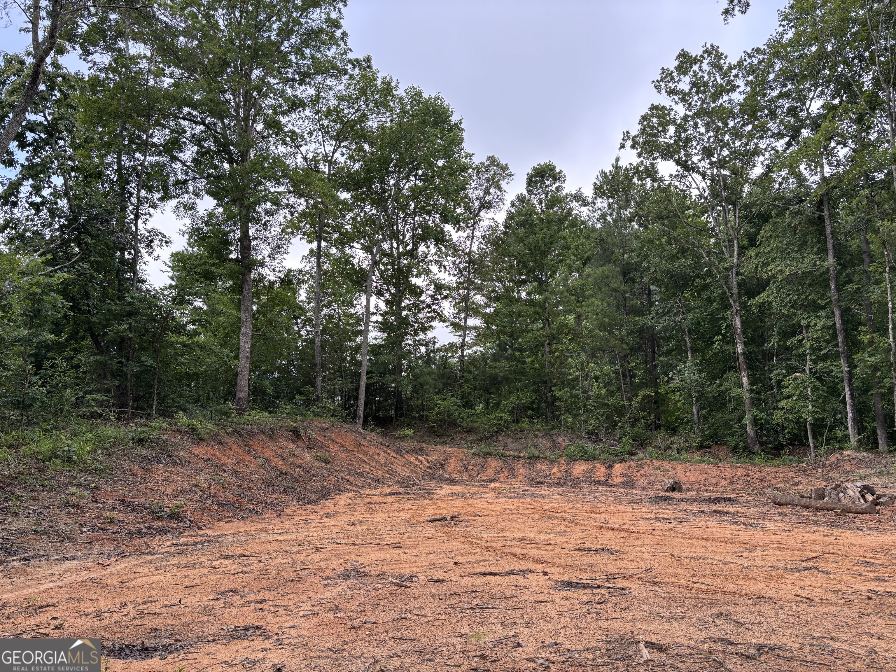 Tract 1 343 County Road 892 Property Photo 10
