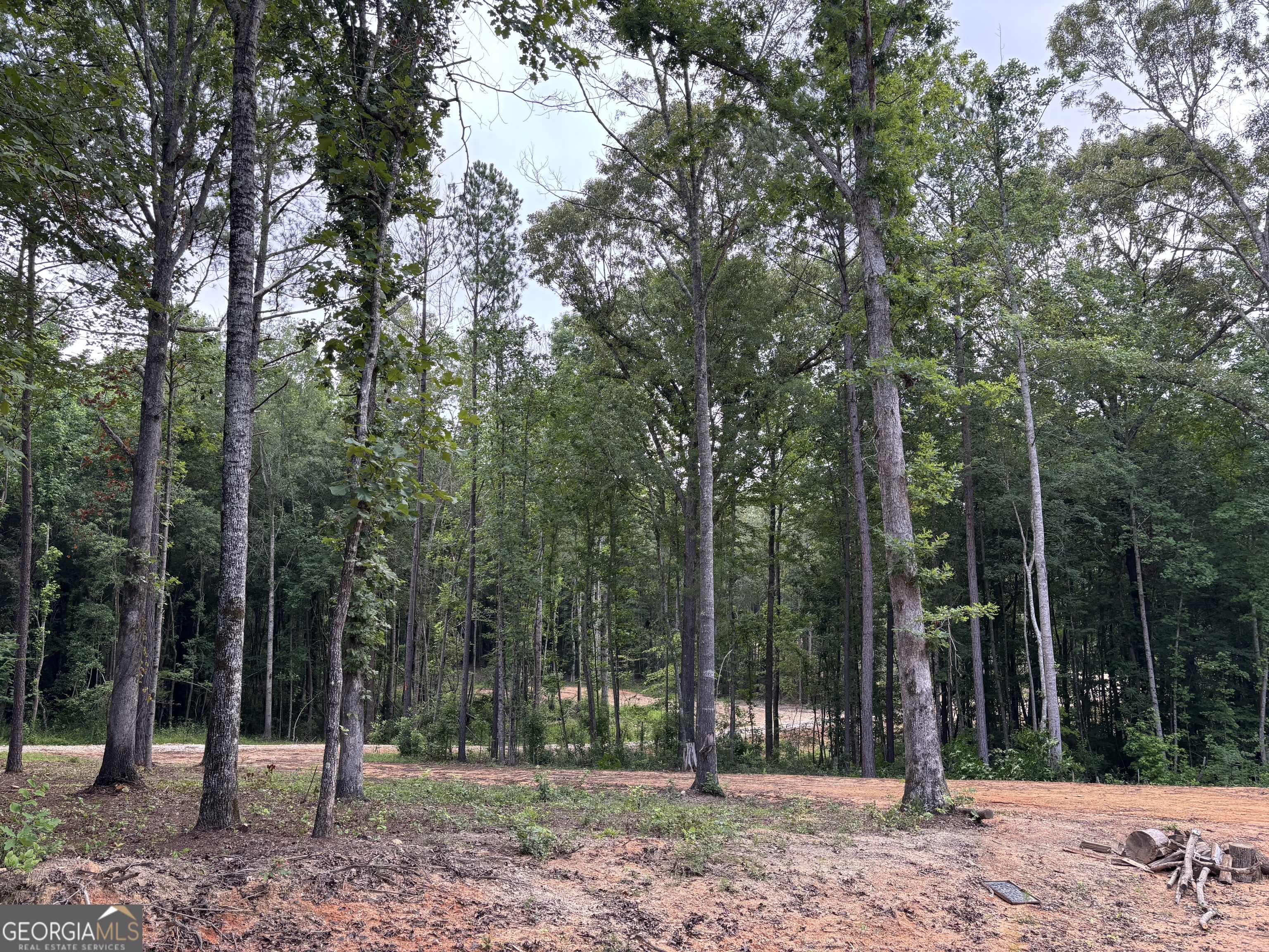 Tract 1 343 County Road 892 Property Photo 11