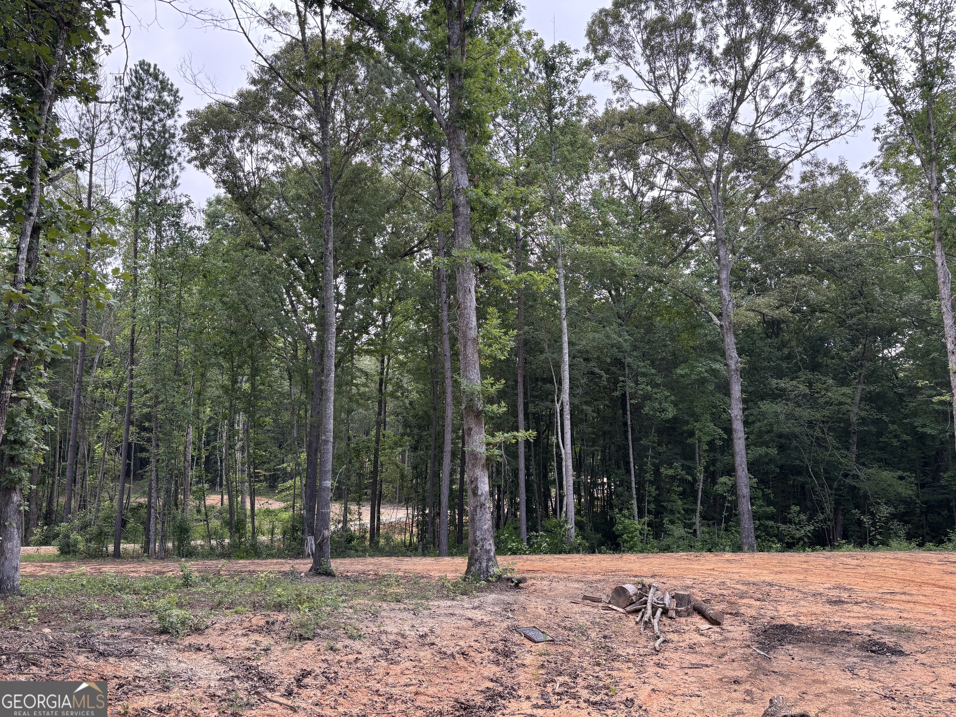 Tract 1 343 County Road 892 Property Photo 13