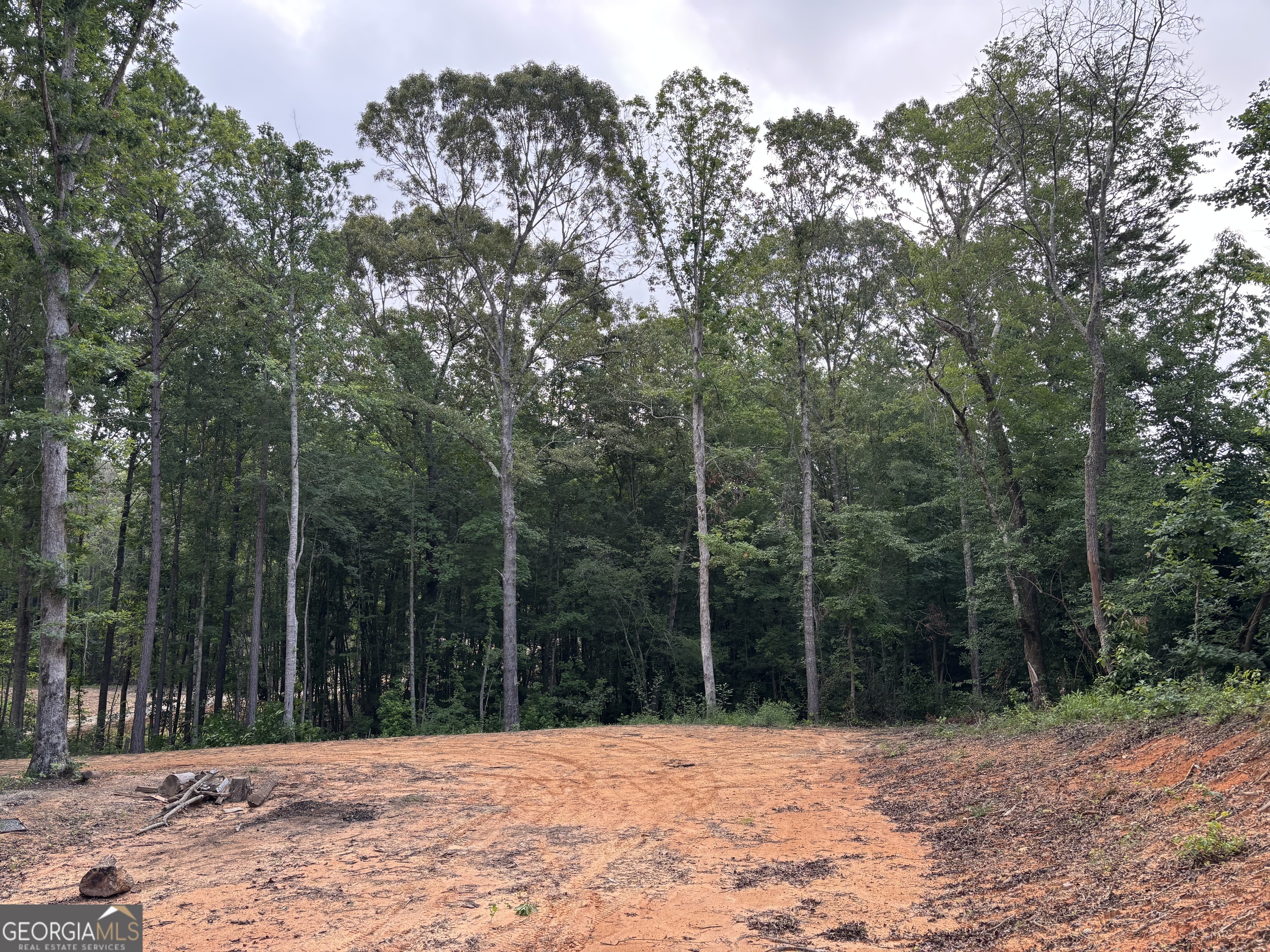 Tract 1 343 County Road 892 Property Photo 14