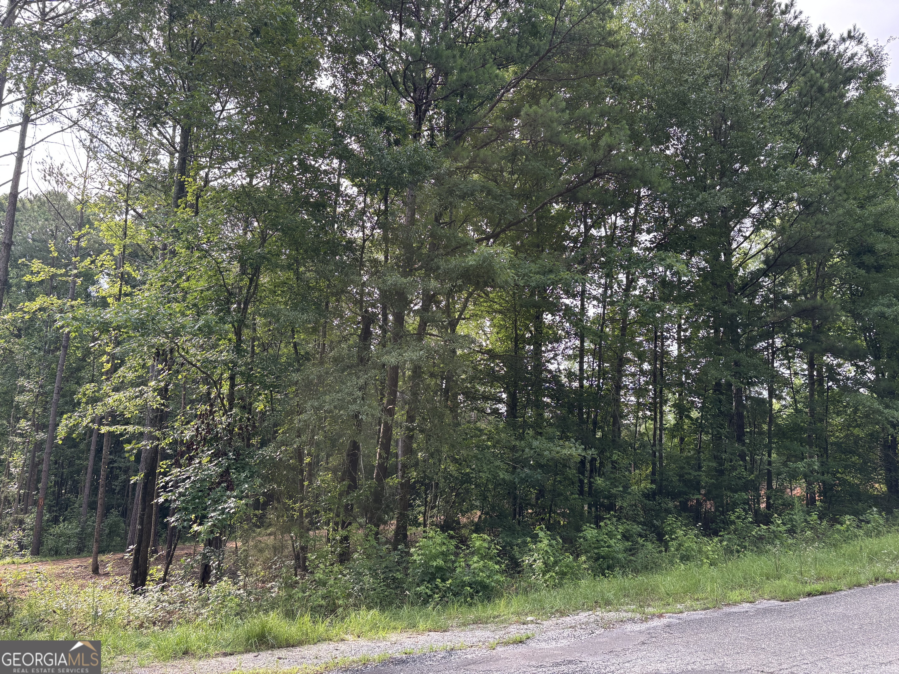 Tract 1 343 County Road 892 Property Photo 15