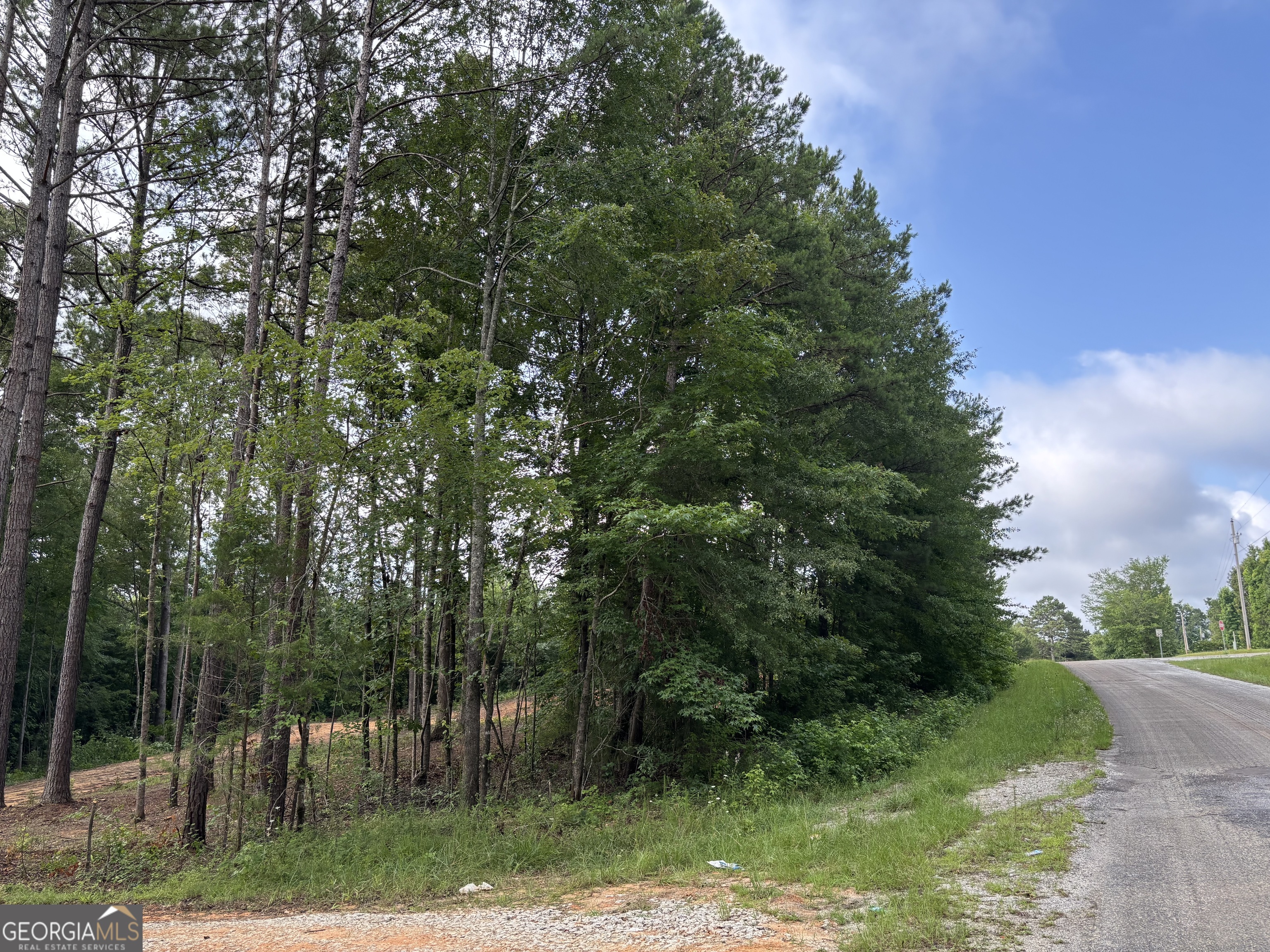 Tract 1 343 County Road 892 Property Photo 16