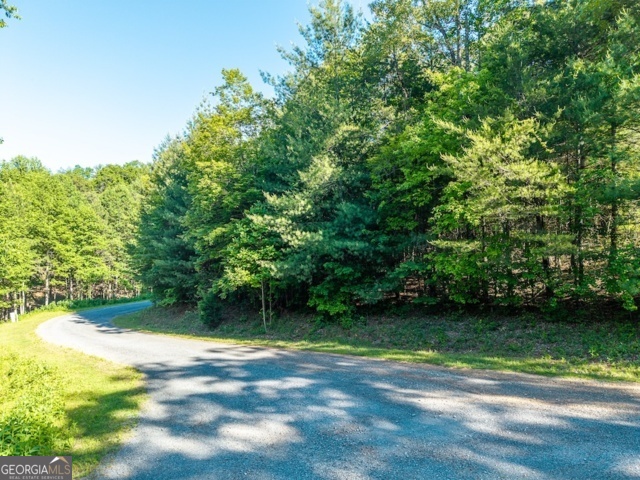 Lot 52 Creek Trail Property Photo 1