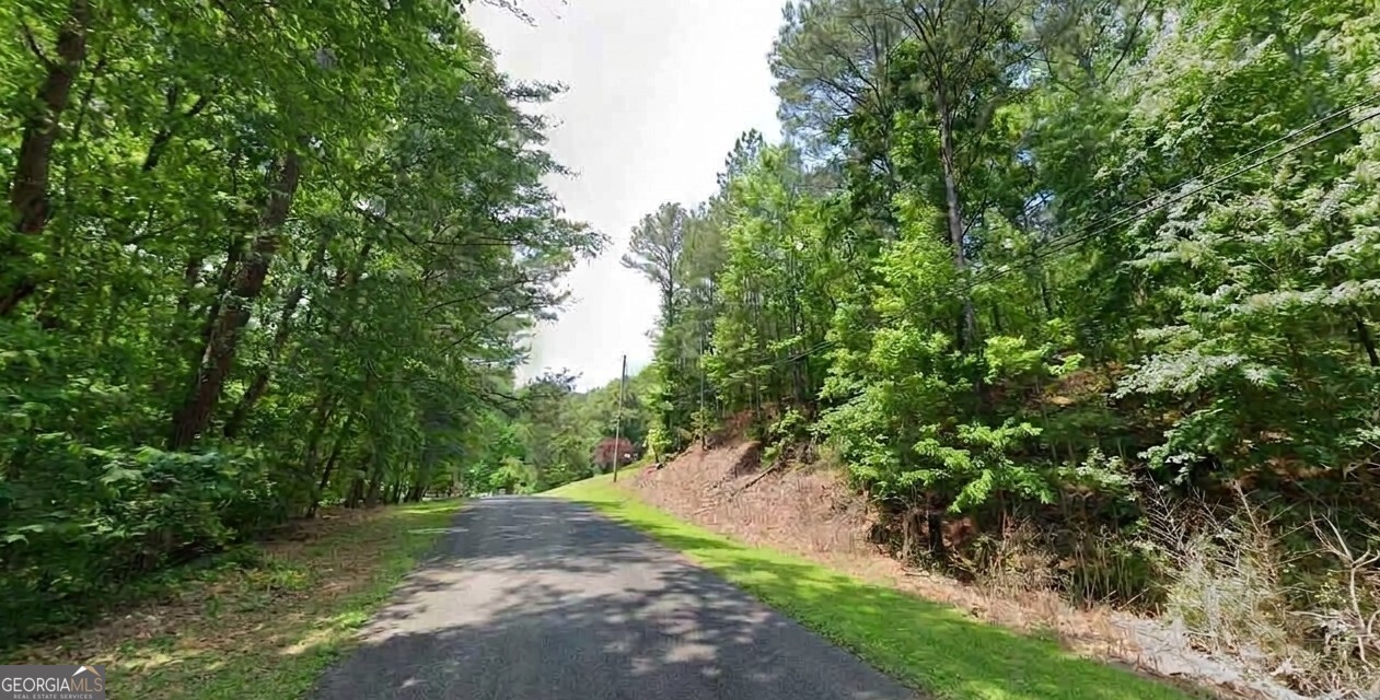 6121 Mountain Forest Drive Property Photo 3