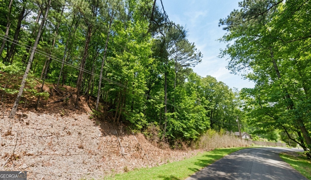 6121 Mountain Forest Drive Property Photo 4