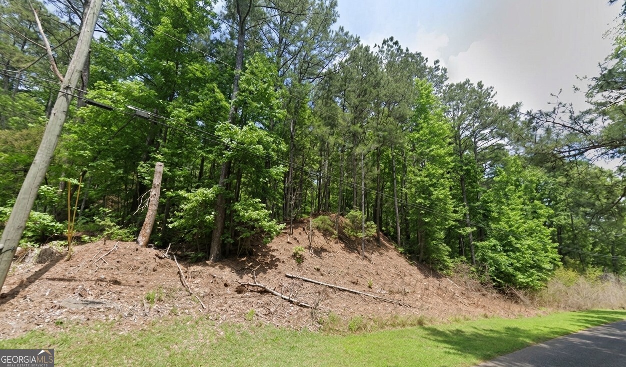 6121 Mountain Forest Drive Property Photo 5