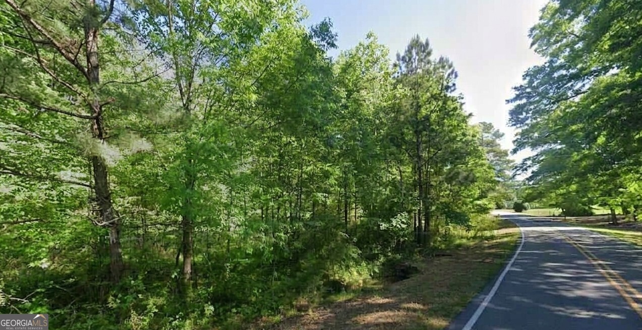 6121 Mountain Forest Drive Property Photo 6