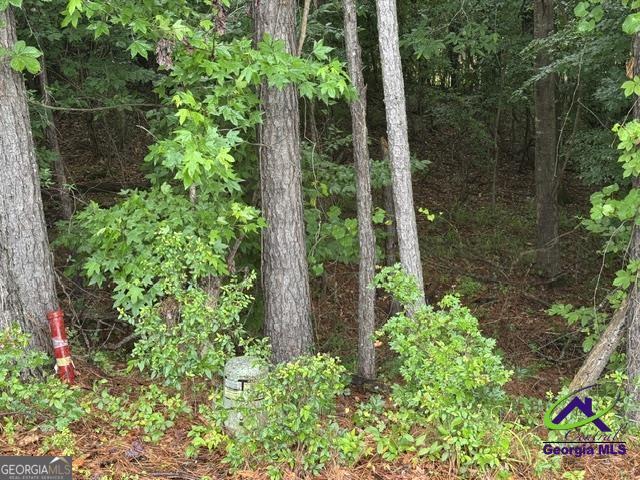 172 Waters Pointe Property Photo 3