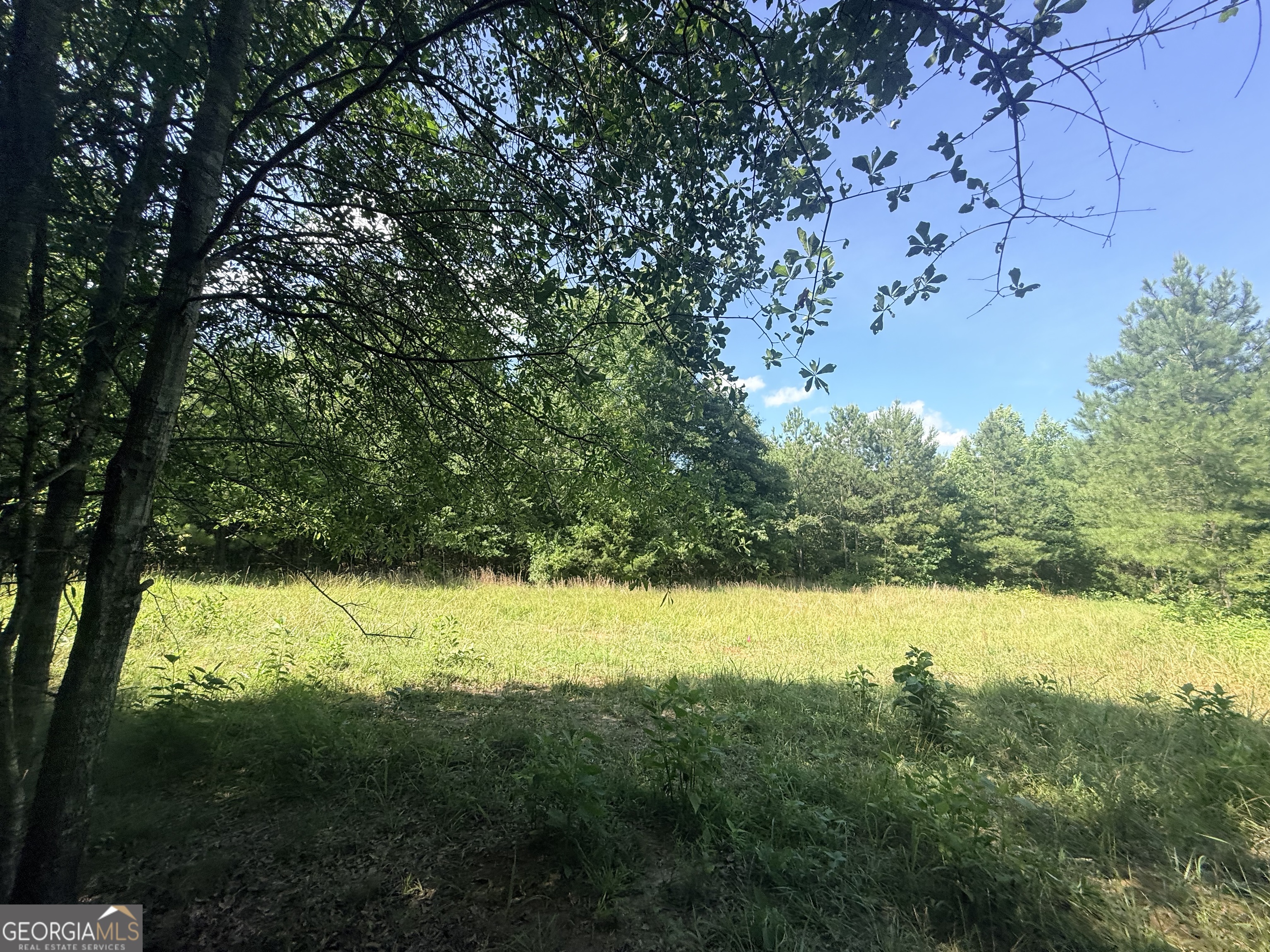 5 Ruckersville Road Property Photo 1