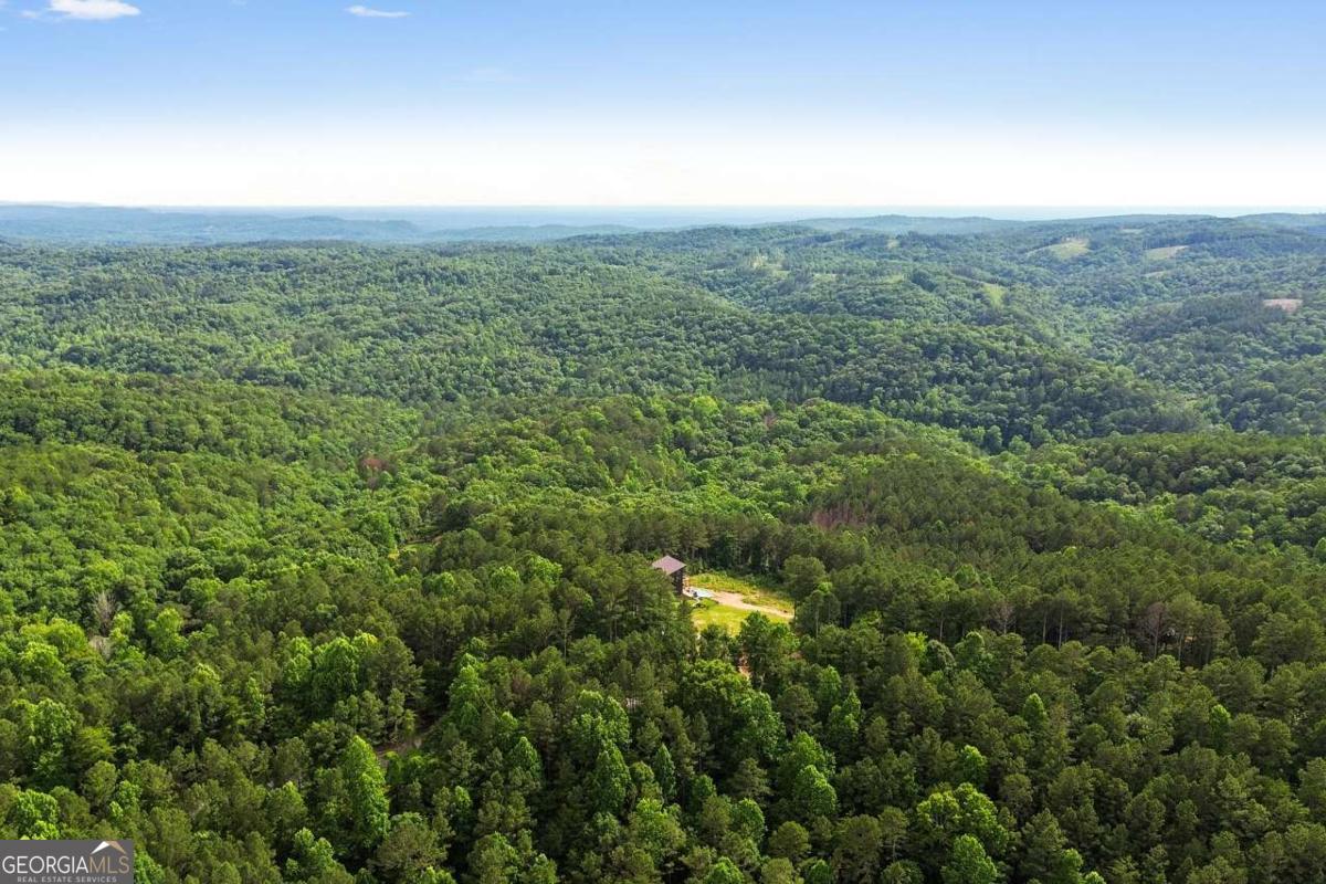 6333 Big Ridge Road Property Photo 55