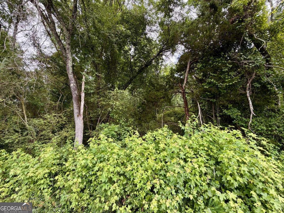0 Maddox Property Photo 8