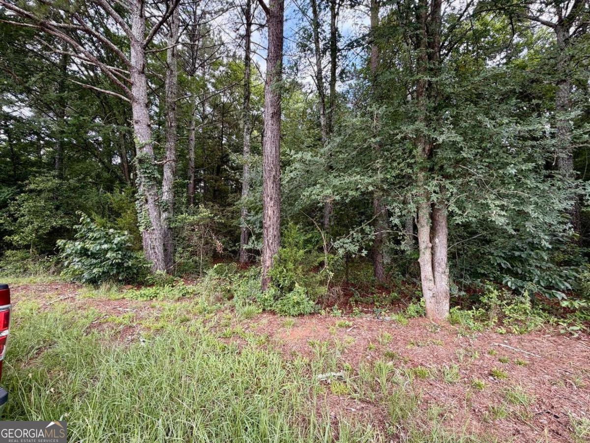 0 Maddox Property Photo 10