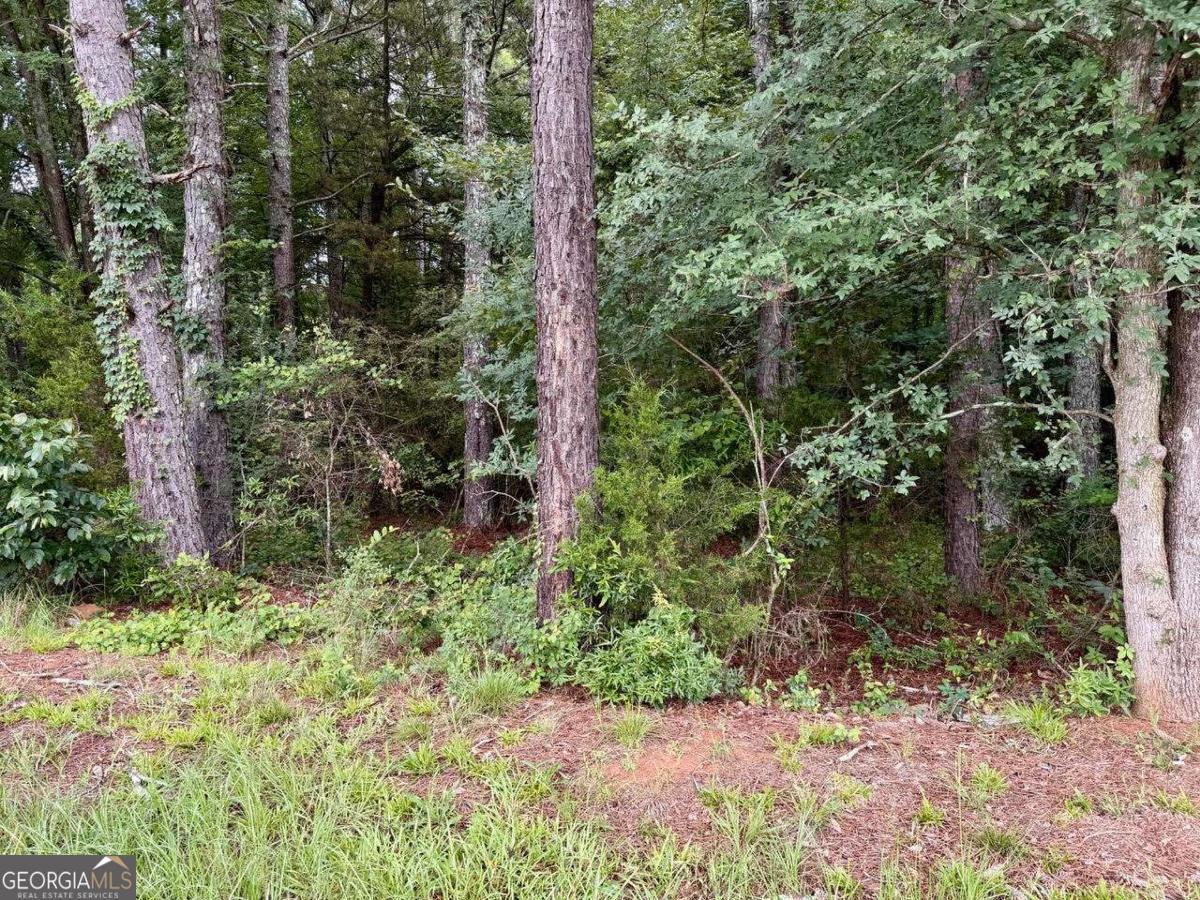 0 Maddox Property Photo 11