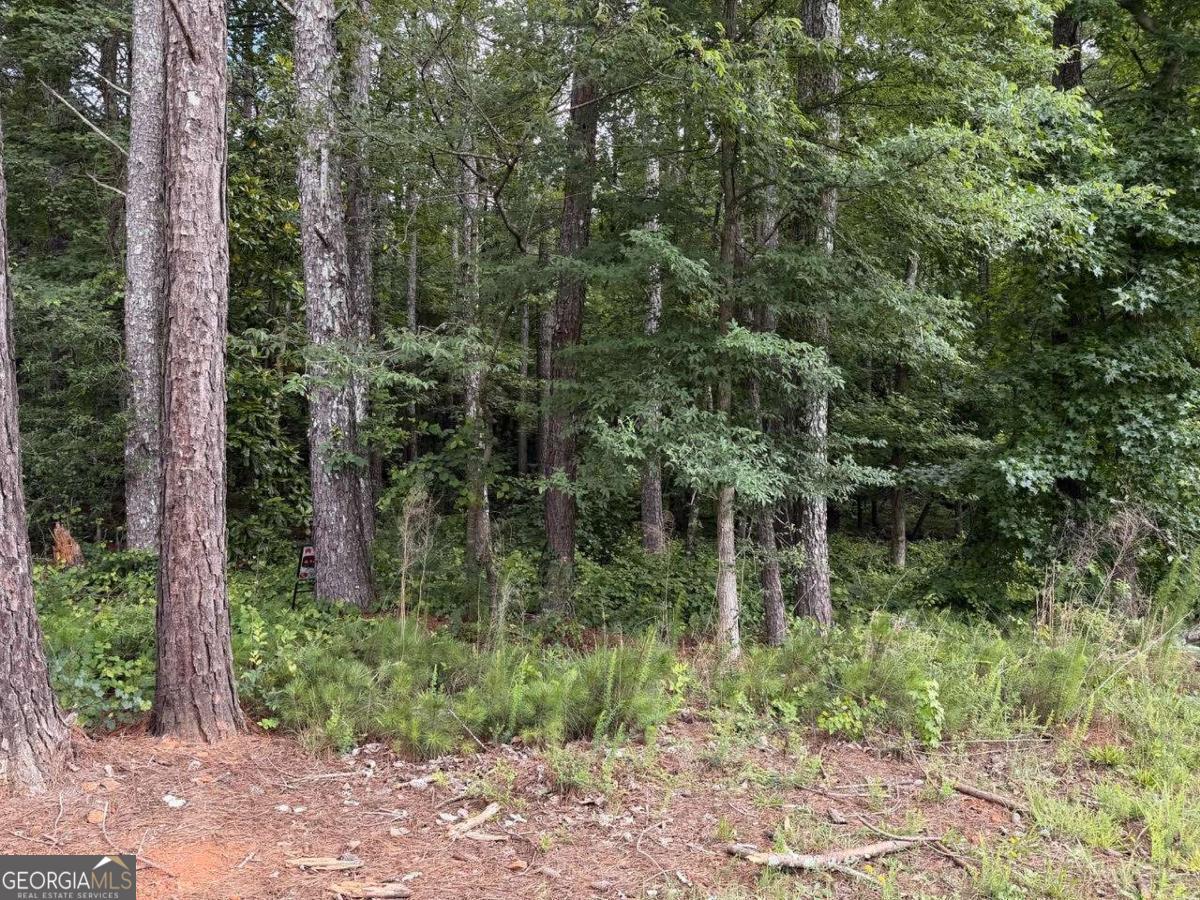 0 Maddox Property Photo 17