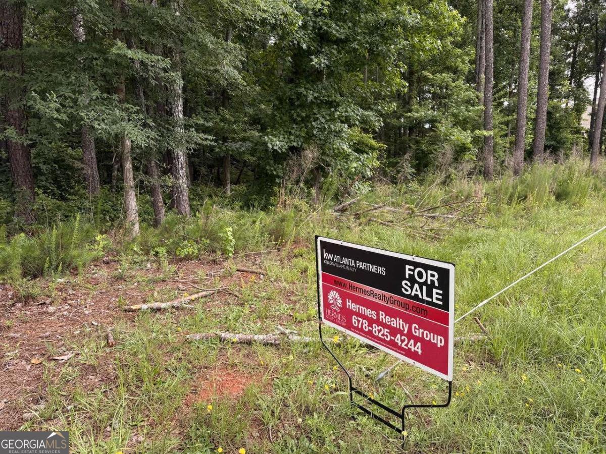0 Maddox Property Photo 18