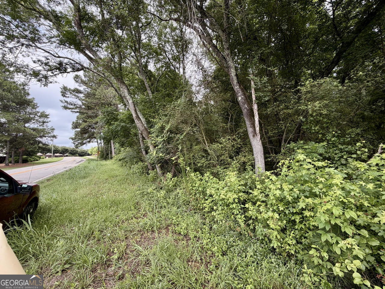 0 Maddox Property Photo 4