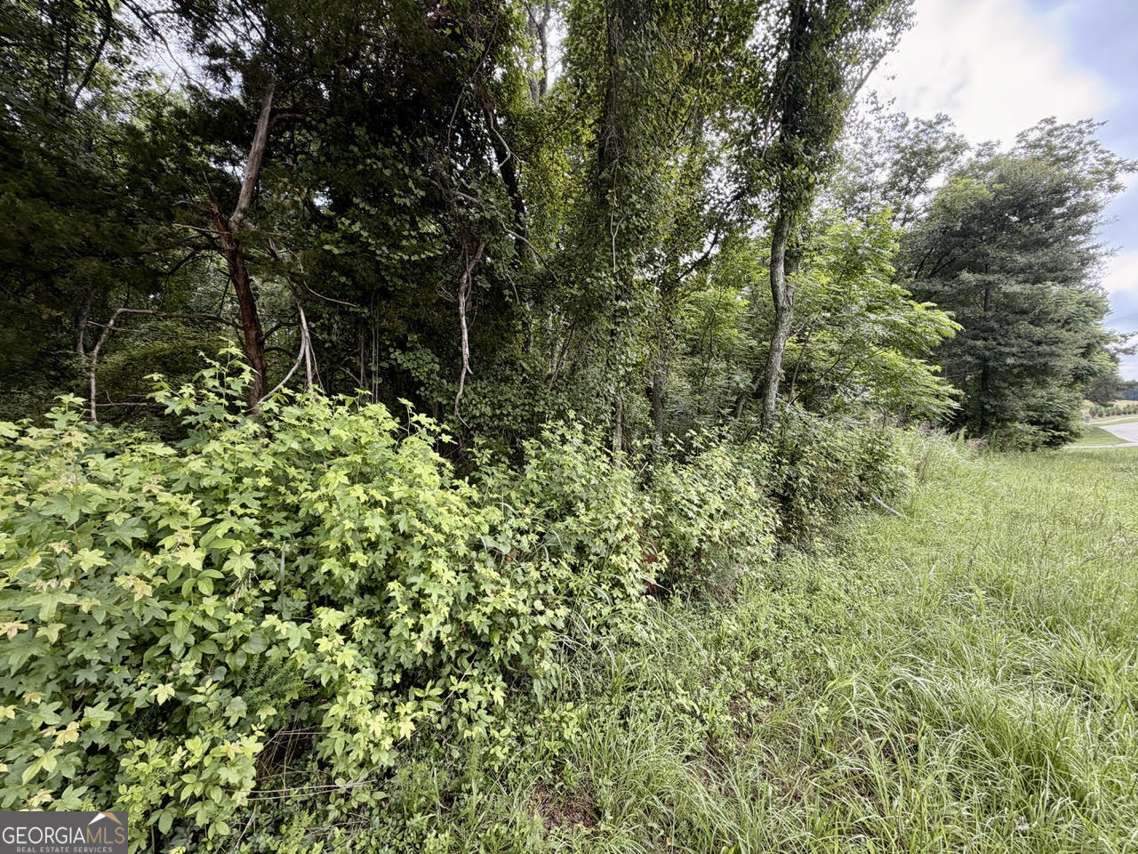0 Maddox Property Photo 5
