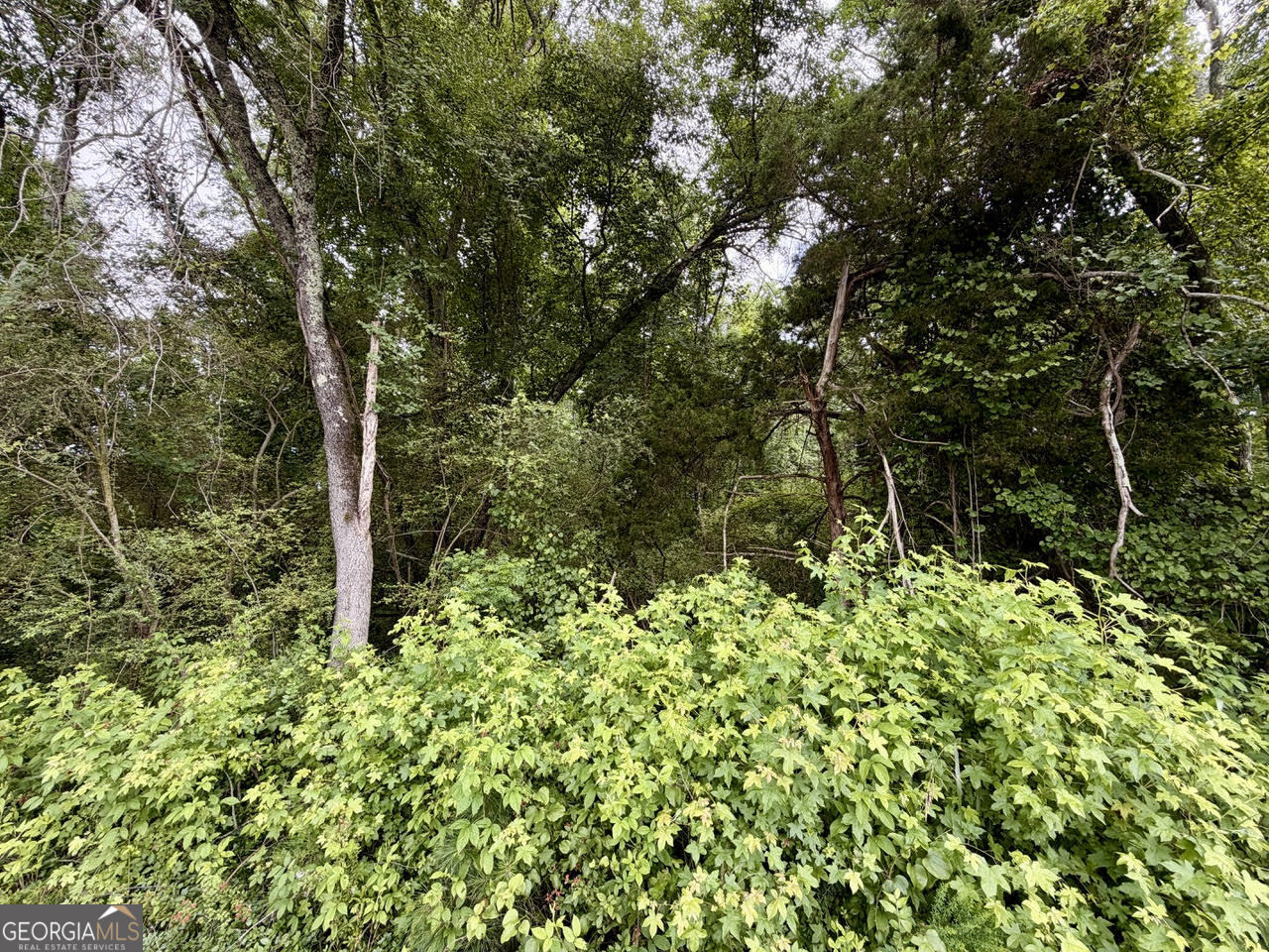 0 Maddox Property Photo 6