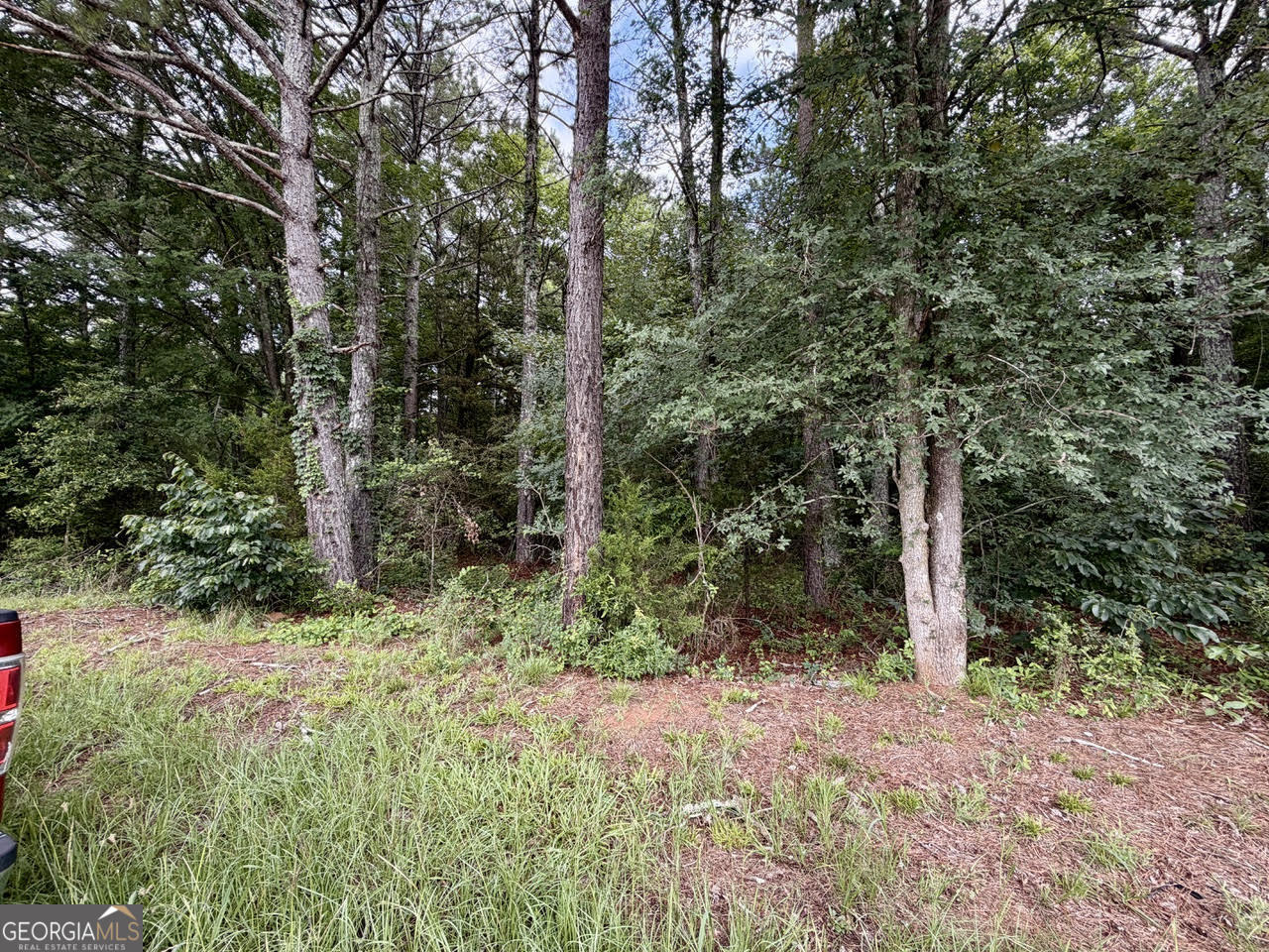 0 Maddox Property Photo 8
