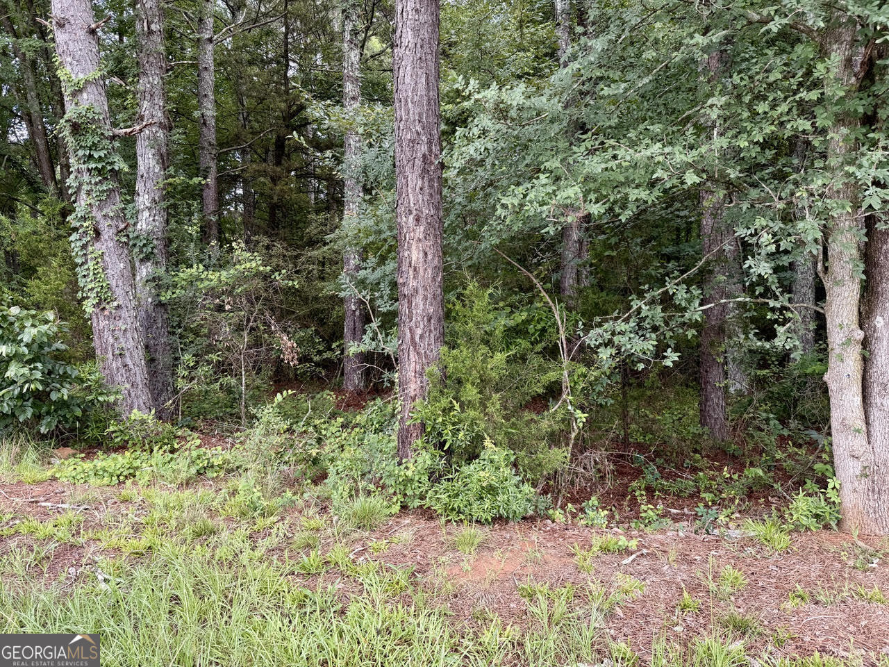 0 Maddox Property Photo 9