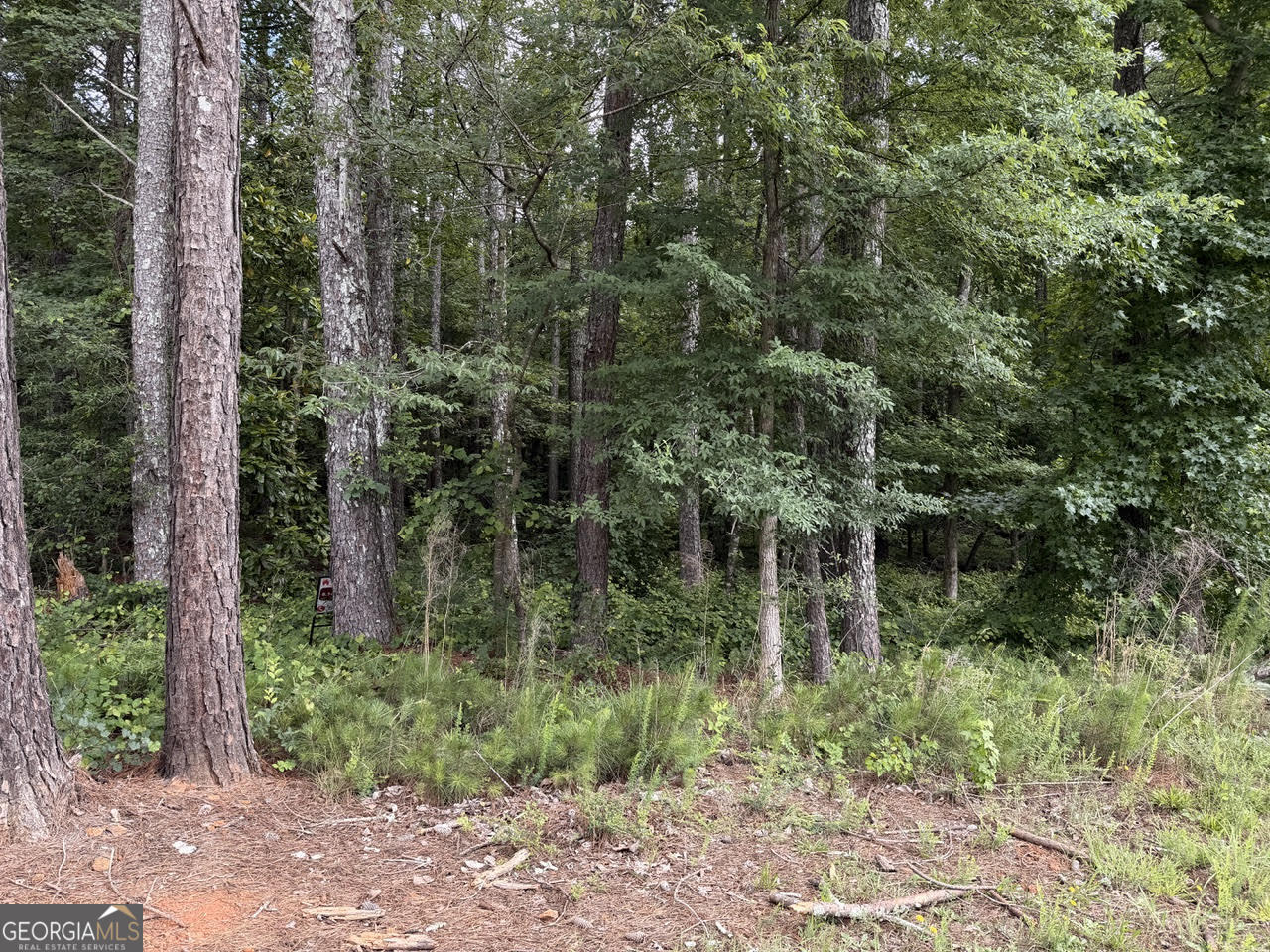 0 Maddox Property Photo 16