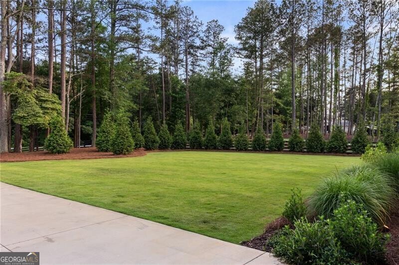 397 Owens Store Road Property Photo 94
