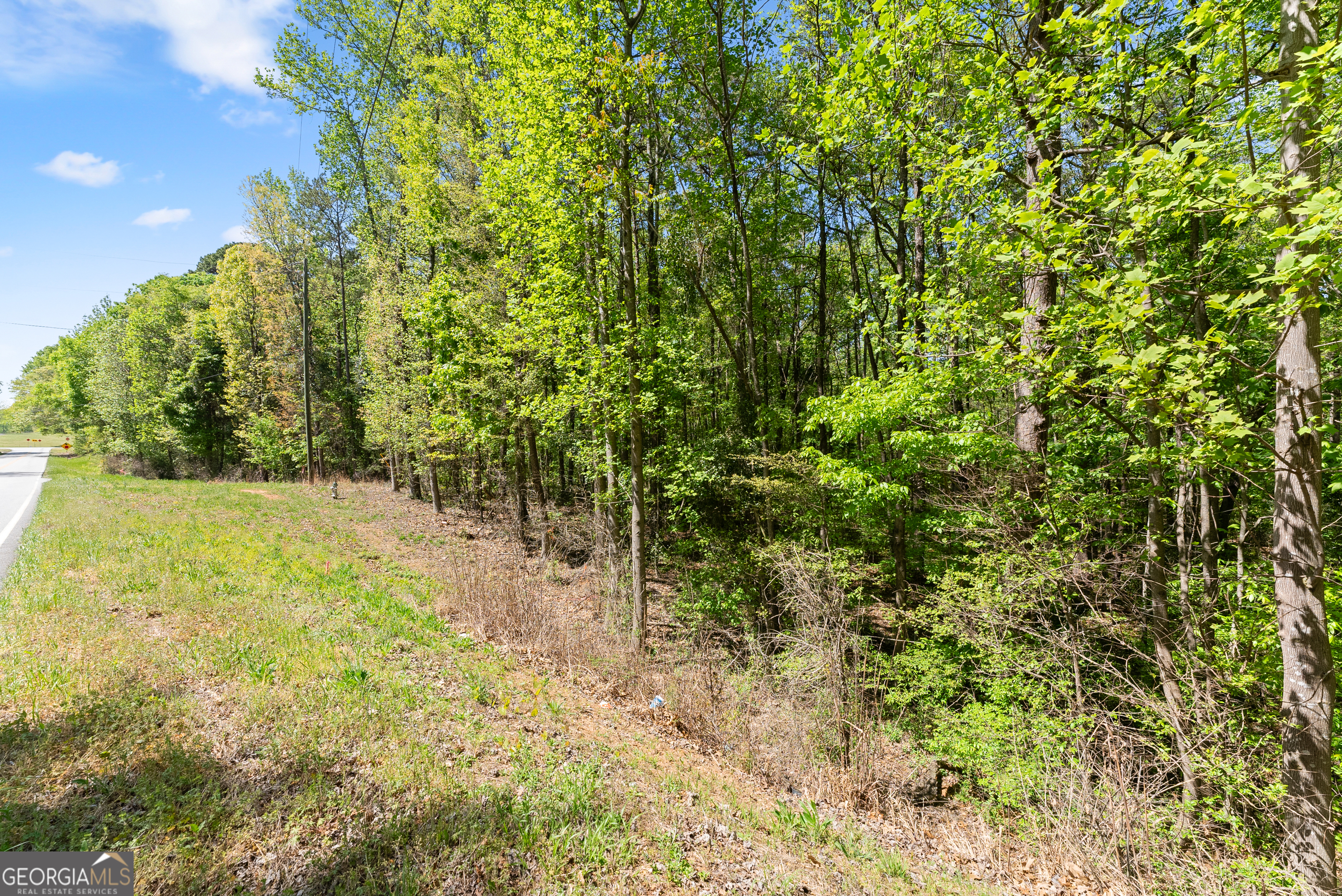4342 Woods Bridge Road Property Photo 18
