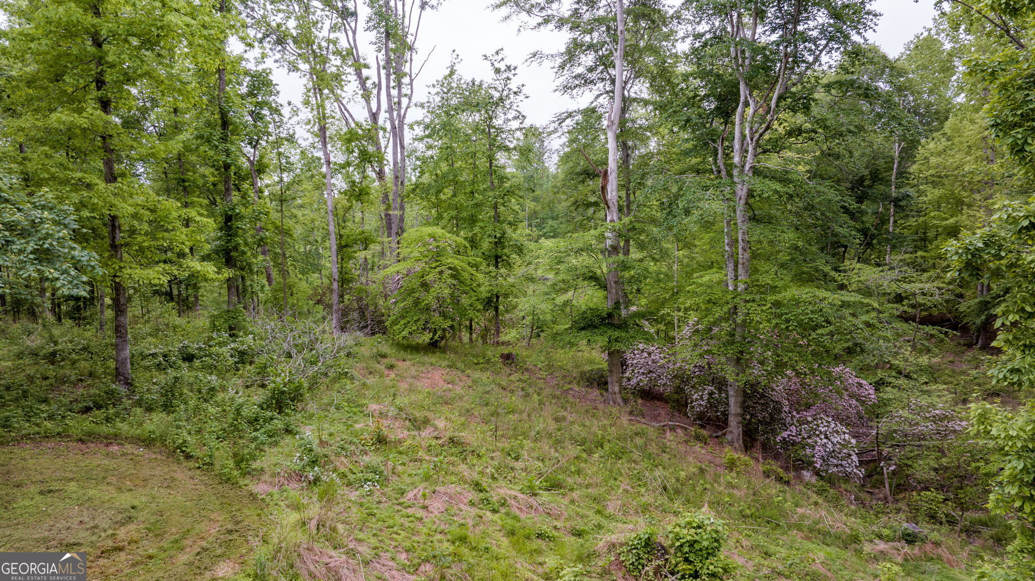 527 Louden Ridge Road Property Photo 33