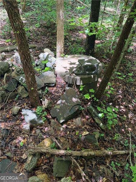 8915 Cedar Grove Road Property Photo 2