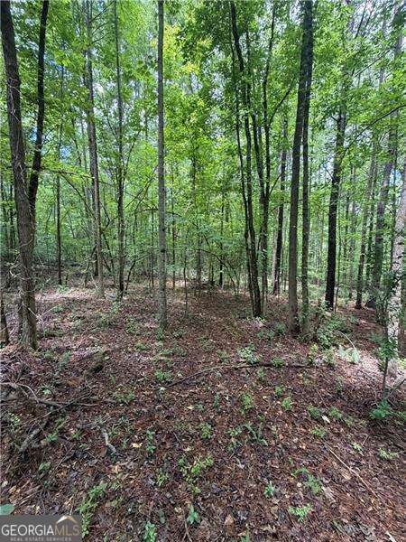 8915 Cedar Grove Road Property Photo 3