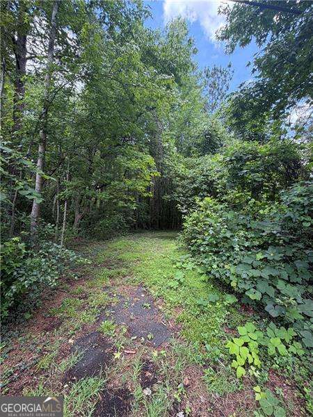 8915 Cedar Grove Road Property Photo 4