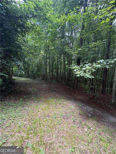8915 Cedar Grove Road Property Photo 5