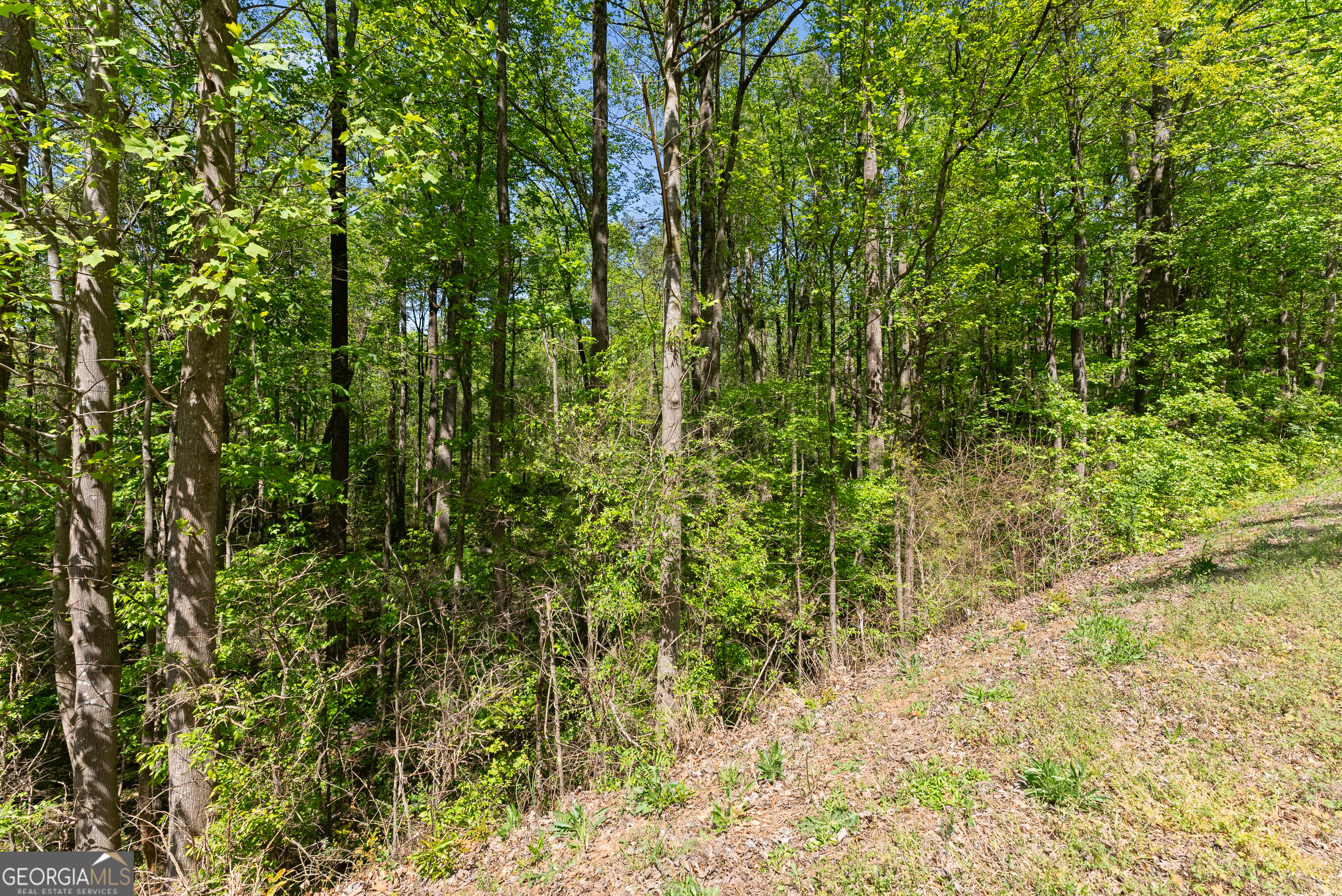 4276 Woods Bridge Road Property Photo 6