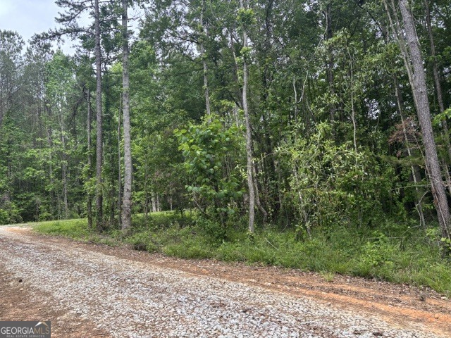 Tract 2 343 County Road 892 Property Photo 1