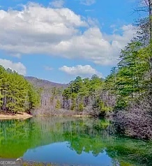 0 Golden Delicious Road Property Photo 1