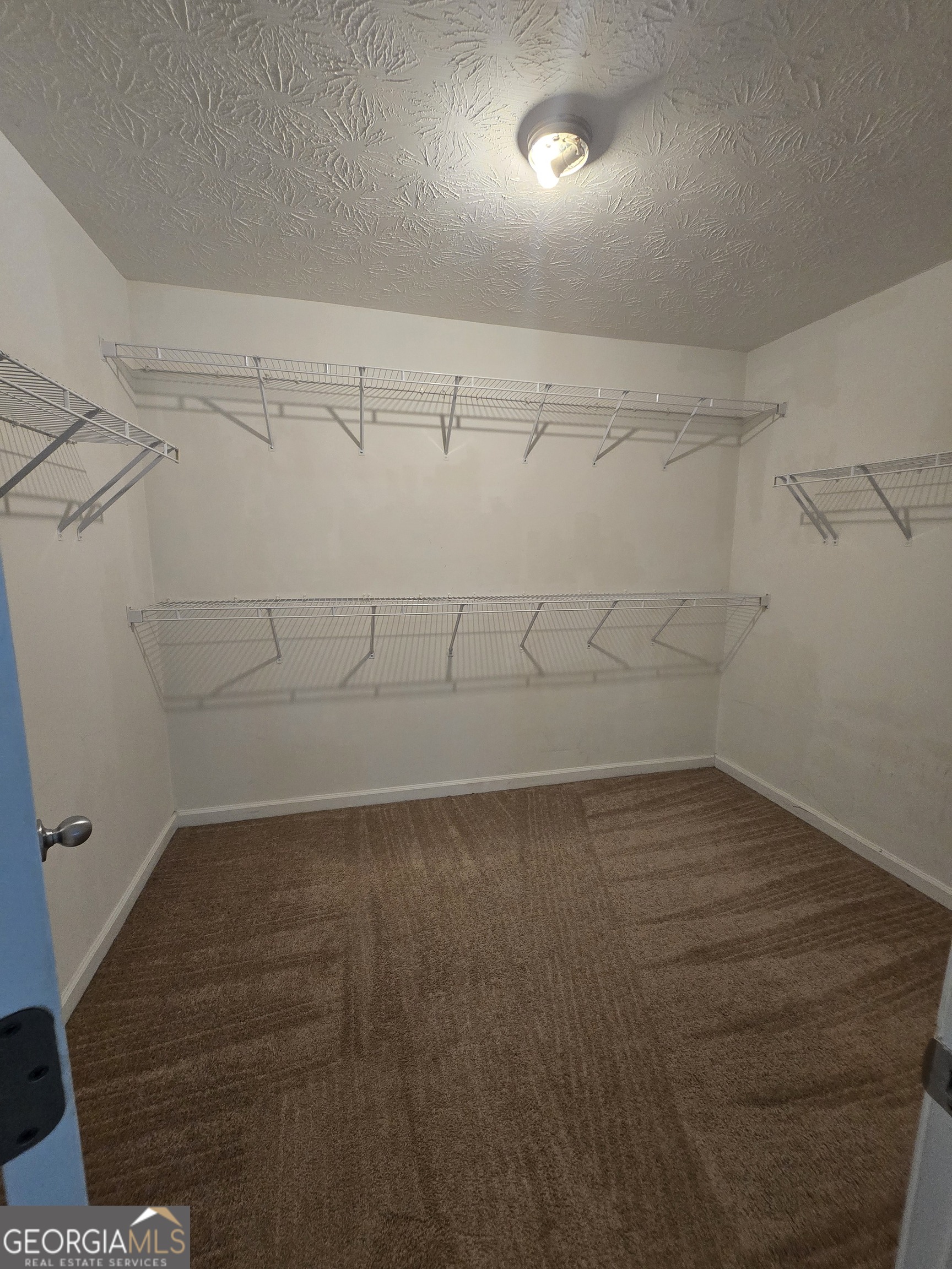3464 Pinegate Trail Property Photo 15