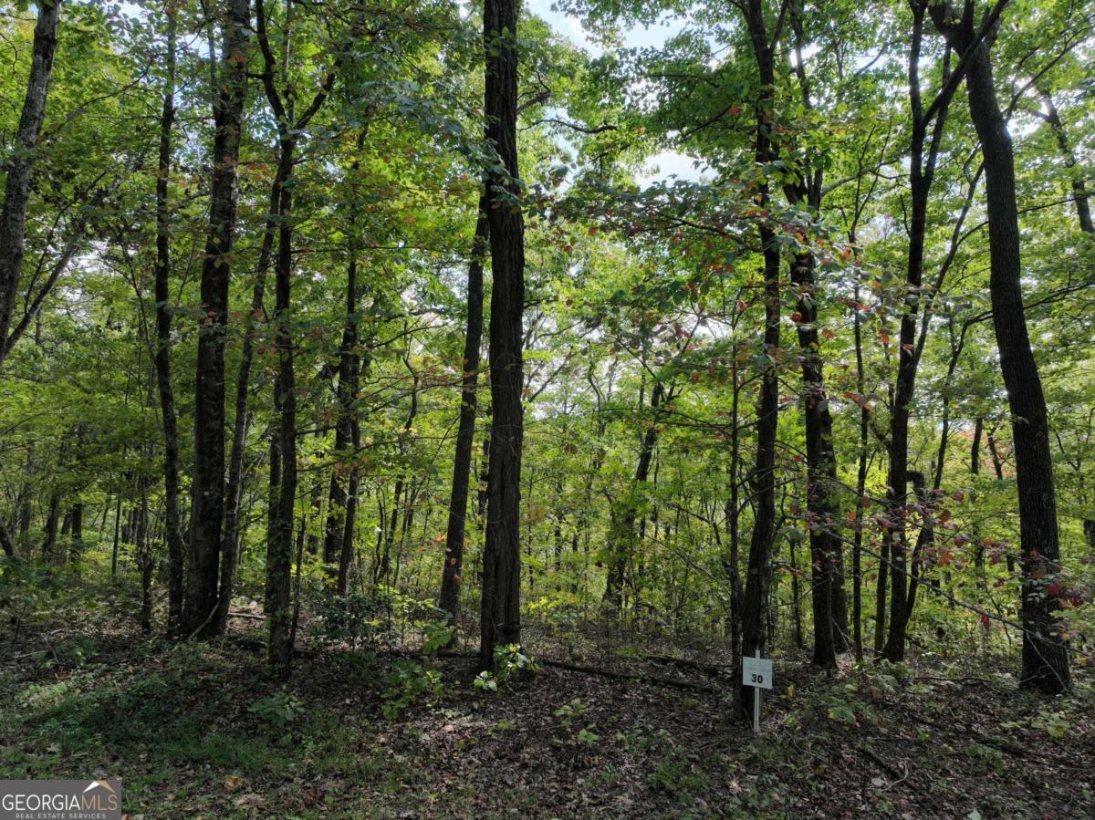 30 Andes Ridge Property Photo 2